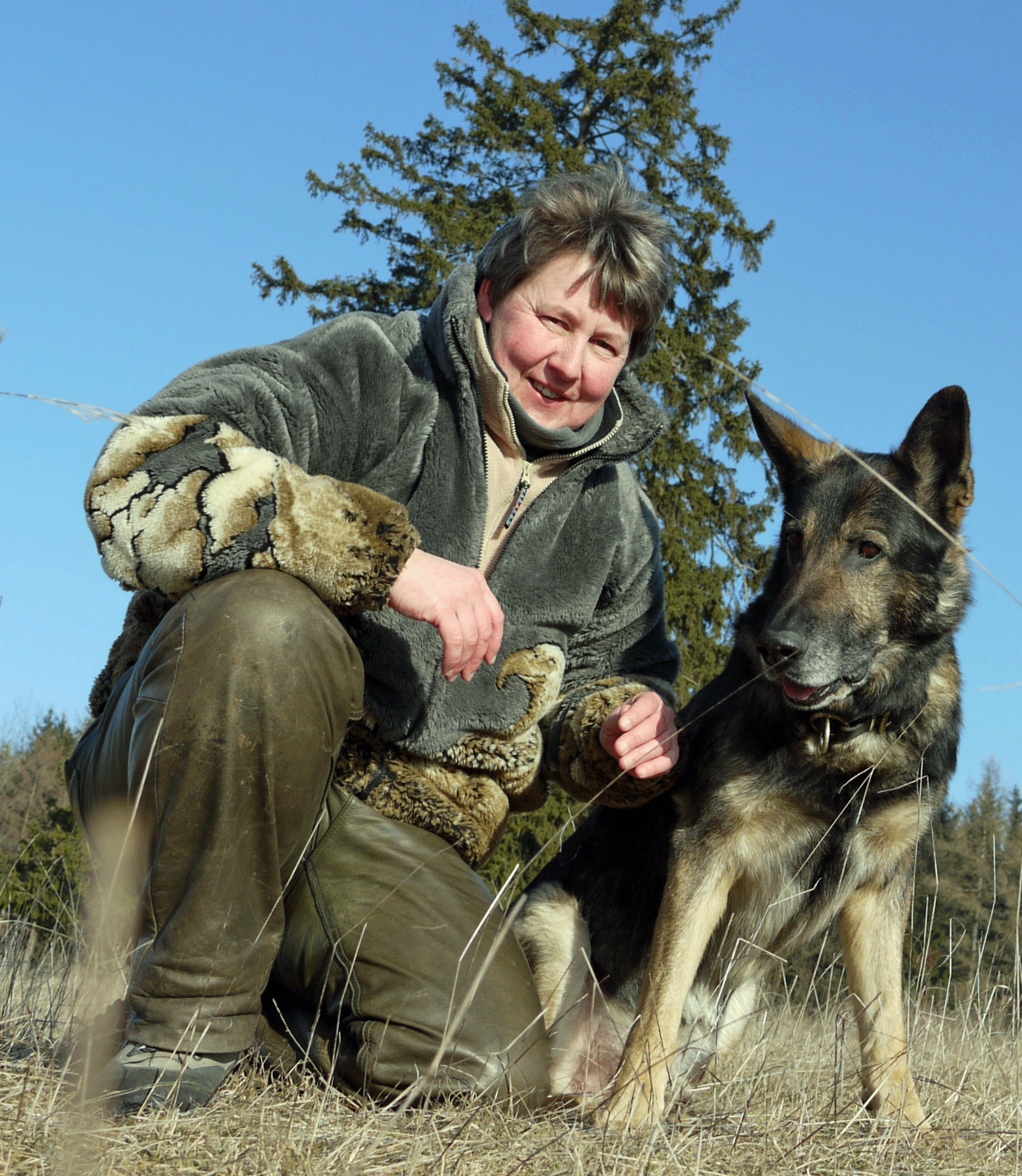 Lobo Andrea Sitzend 311208