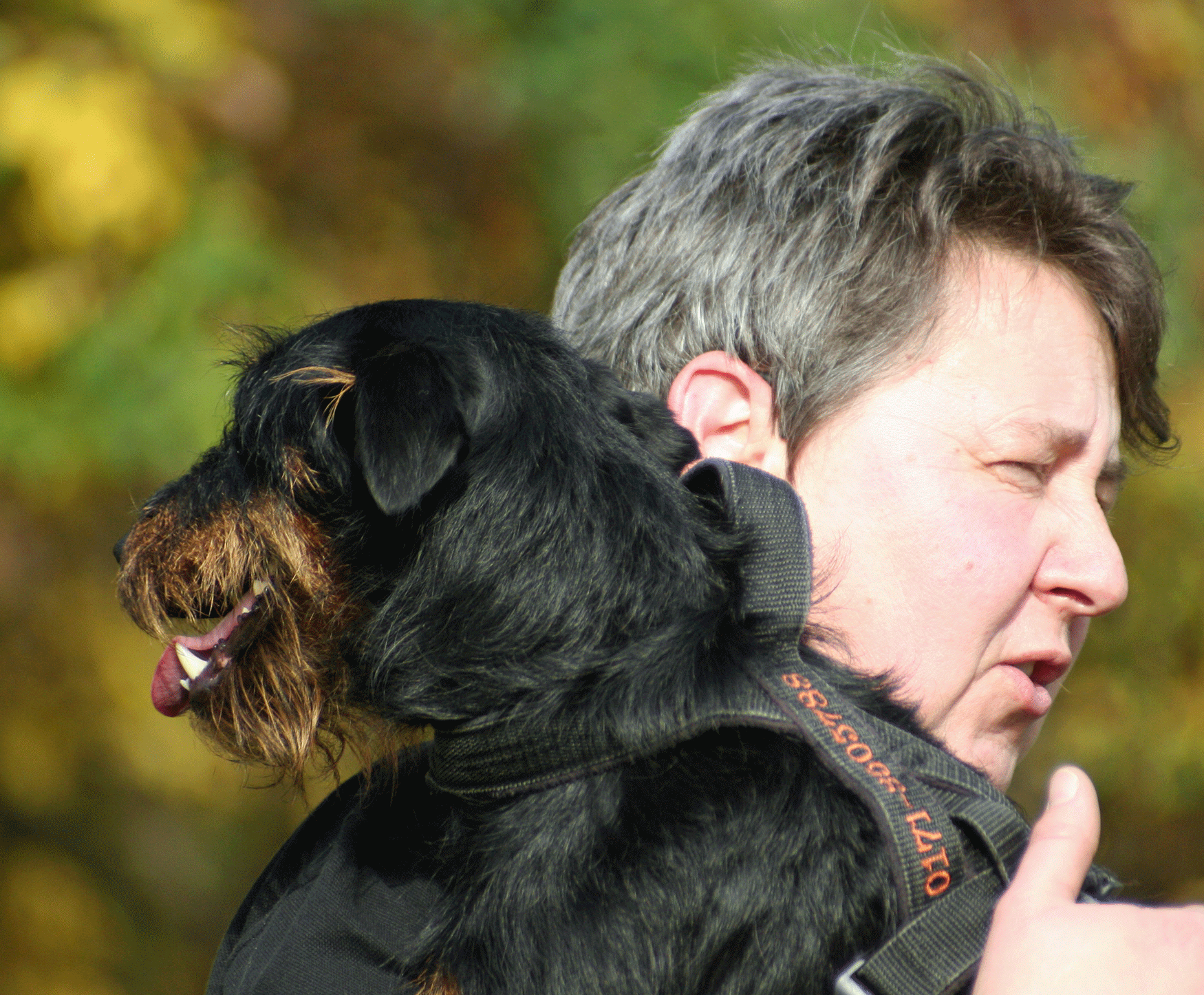 Deutscher Jagdterrier Pikus auf Schulter Foto: Tanja Weiland